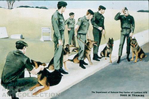 AIR FORCE WORKING DOGS